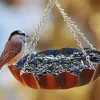 Bird Feeder Diamond Painting