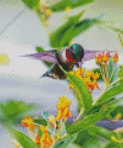 Bird On Flowers Diamond Painting