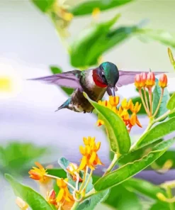 Bird On Flowers Diamond Painting