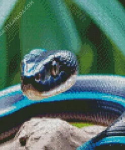 Black And Blue Snake Diamond Painting