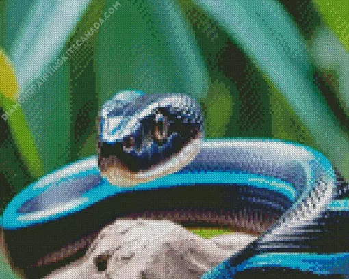 Black And Blue Snake Diamond Painting