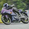 Black And Purple Motorcycle Diamond Painting