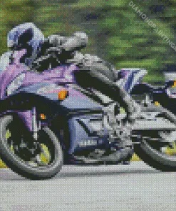 Black And Purple Motorcycle Diamond Painting