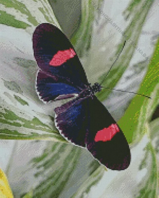 Black And Red Butterfly Diamond Painting