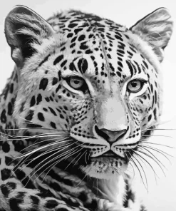 Black And White Leopard Diamond Painting