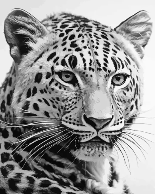 Black And White Leopard Diamond Painting