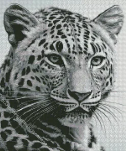 Black And White Leopard Diamond Painting