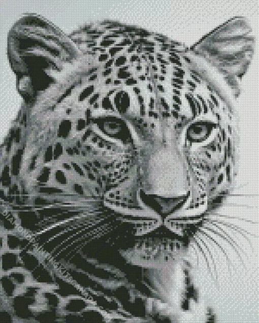 Black And White Leopard Diamond Painting