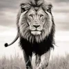 Black And White Lion Diamond Painting