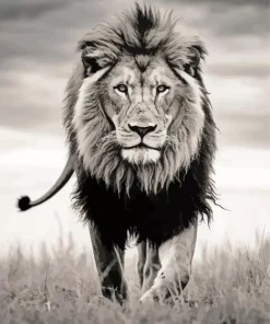 Black And White Lion Diamond Painting