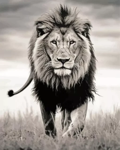 Black And White Lion Diamond Painting