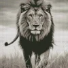 Black And White Lion Diamond Painting