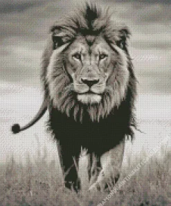 Black And White Lion Diamond Painting