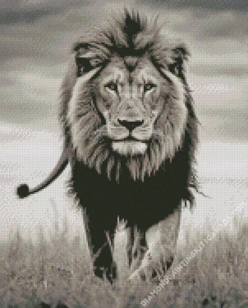 Black And White Lion Diamond Painting