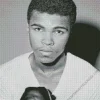 Black And White Muhammad Ali Diamond Painting