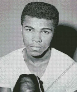 Black And White Muhammad Ali Diamond Painting