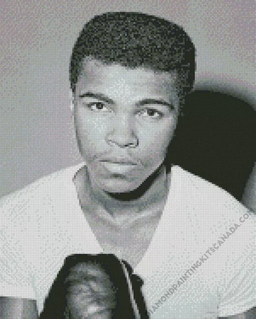 Black And White Muhammad Ali Diamond Painting