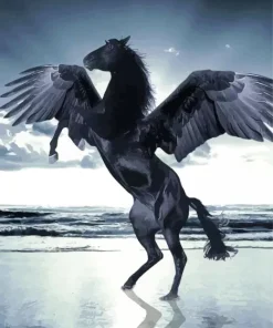 Black Horse With Wings Diamond Painting