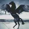 Black Horse With Wings Diamond Painting