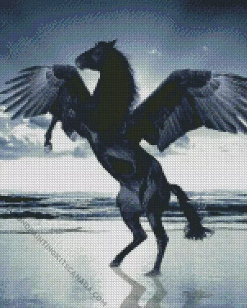 Black Horse With Wings Diamond Painting