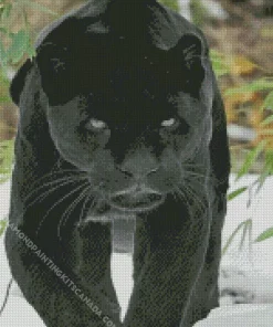 Black Jaguar Diamond Painting