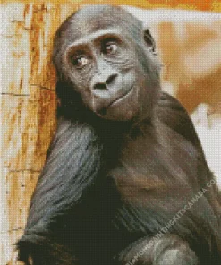 Black Monkey Diamond Painting