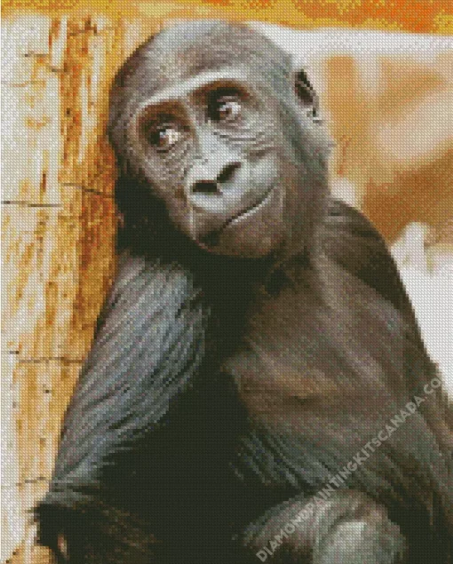 Black Monkey Diamond Painting