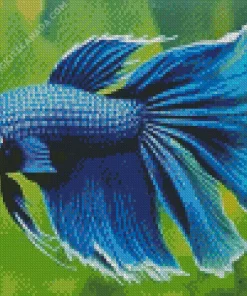 Blue Betta Fish Underwater Diamond Painting