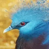 Blue Bird Face Diamond Painting