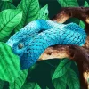 Blue Bush Snake Diamond Painting