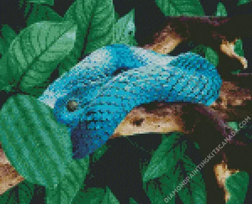 Blue Bush Snake Diamond Painting