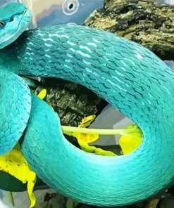 Blue Bush Viper Diamond Painting