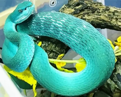 Blue Bush Viper Diamond Painting