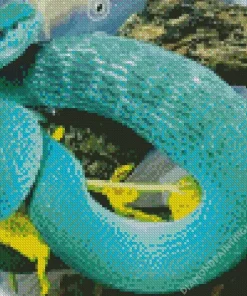 Blue Bush Viper Diamond Painting