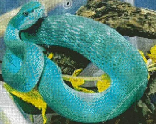 Blue Bush Viper Diamond Painting