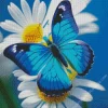 Blue Butterfly And Flower Diamond Painting