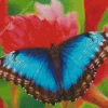 Blue Butterfly And Red Flowers Diamond Painting