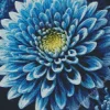 Blue Chrysanthemum Diamond Painting