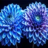 Blue Chrysanthemum Flowers Diamond Painting