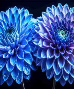 Blue Chrysanthemum Flowers Diamond Painting