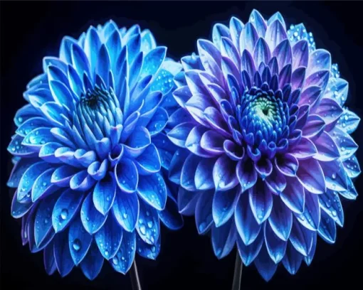 Blue Chrysanthemum Flowers Diamond Painting