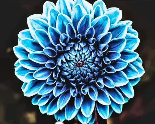 Blue Dahlia Diamond Painting