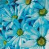 Blue Daisies Diamond Painting