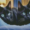 Blue Eyed Black Cats Diamond Painting