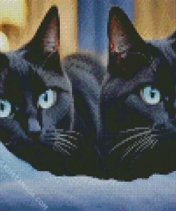 Blue Eyed Black Cats Diamond Painting