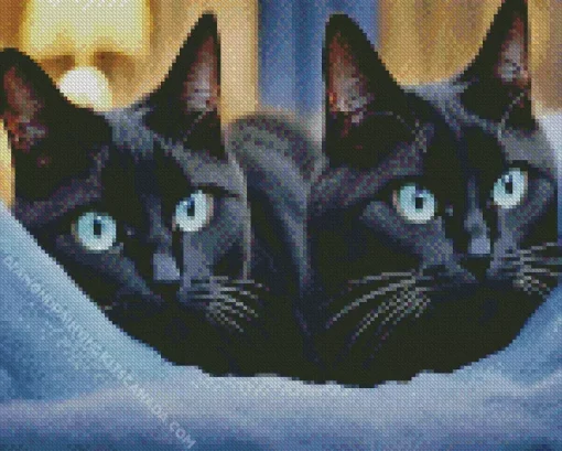 Blue Eyed Black Cats Diamond Painting