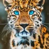 Blue Eyed Leopard Diamond Painting