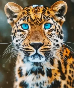 Blue Eyed Leopard Diamond Painting