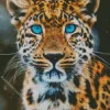 Blue Eyed Leopard Diamond Painting