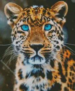 Blue Eyed Leopard Diamond Painting